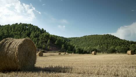 Harvest-Field-Timelapse-03