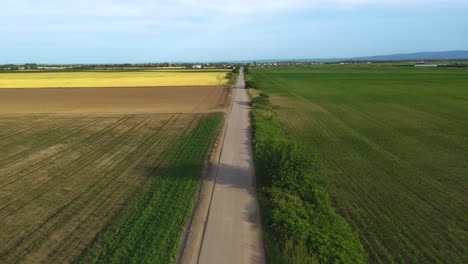straight countryside road through cultivated fields, aerial view