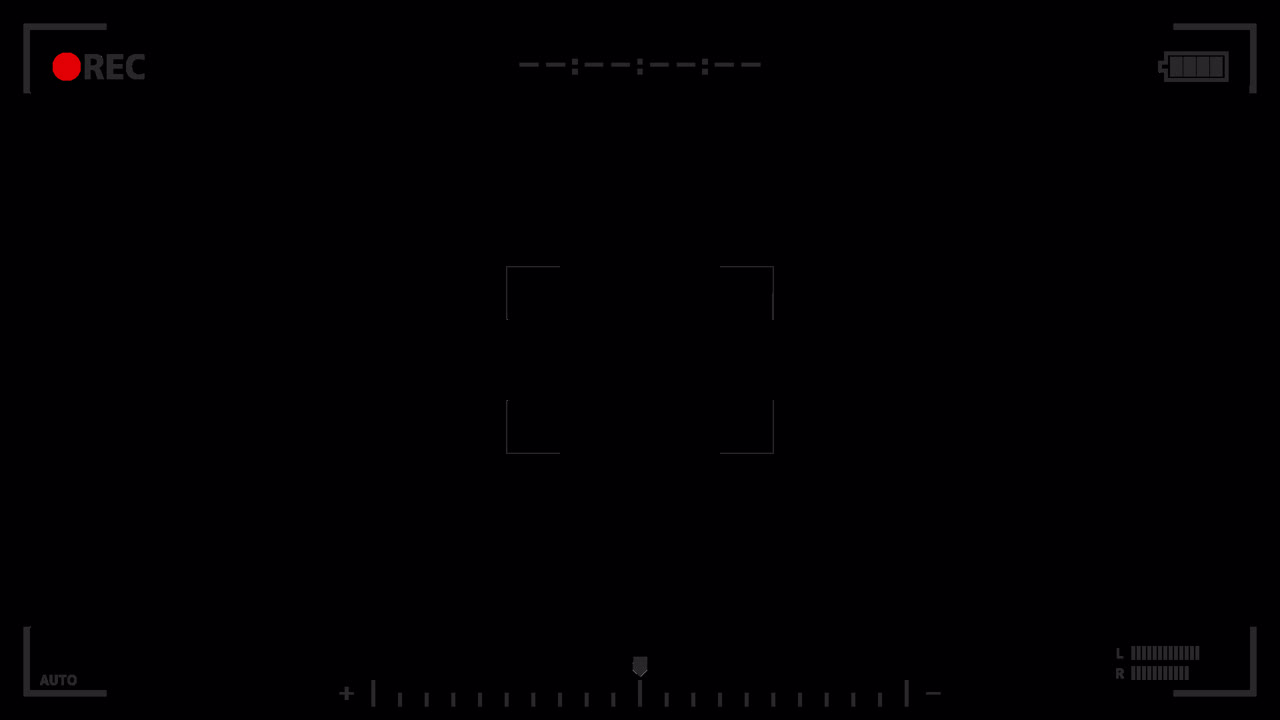 Camera frame REC animated overlay.  1080p - 30 fps - Alpha Channel (9)