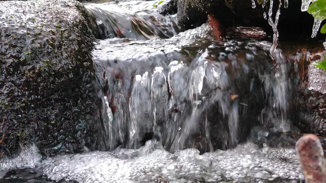 une belle collection de ruisseaux forestiers - une boucle homogène