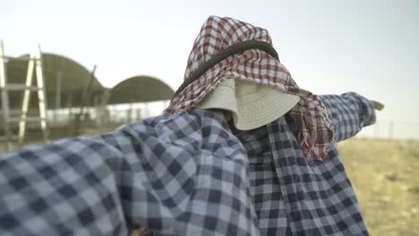 arabic outfit, kafia
on the scarecrow, standing behind a cage of sheep