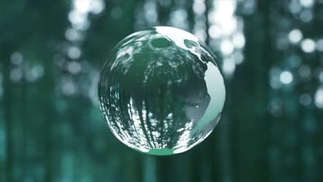 earth in a glass sphere, forest background