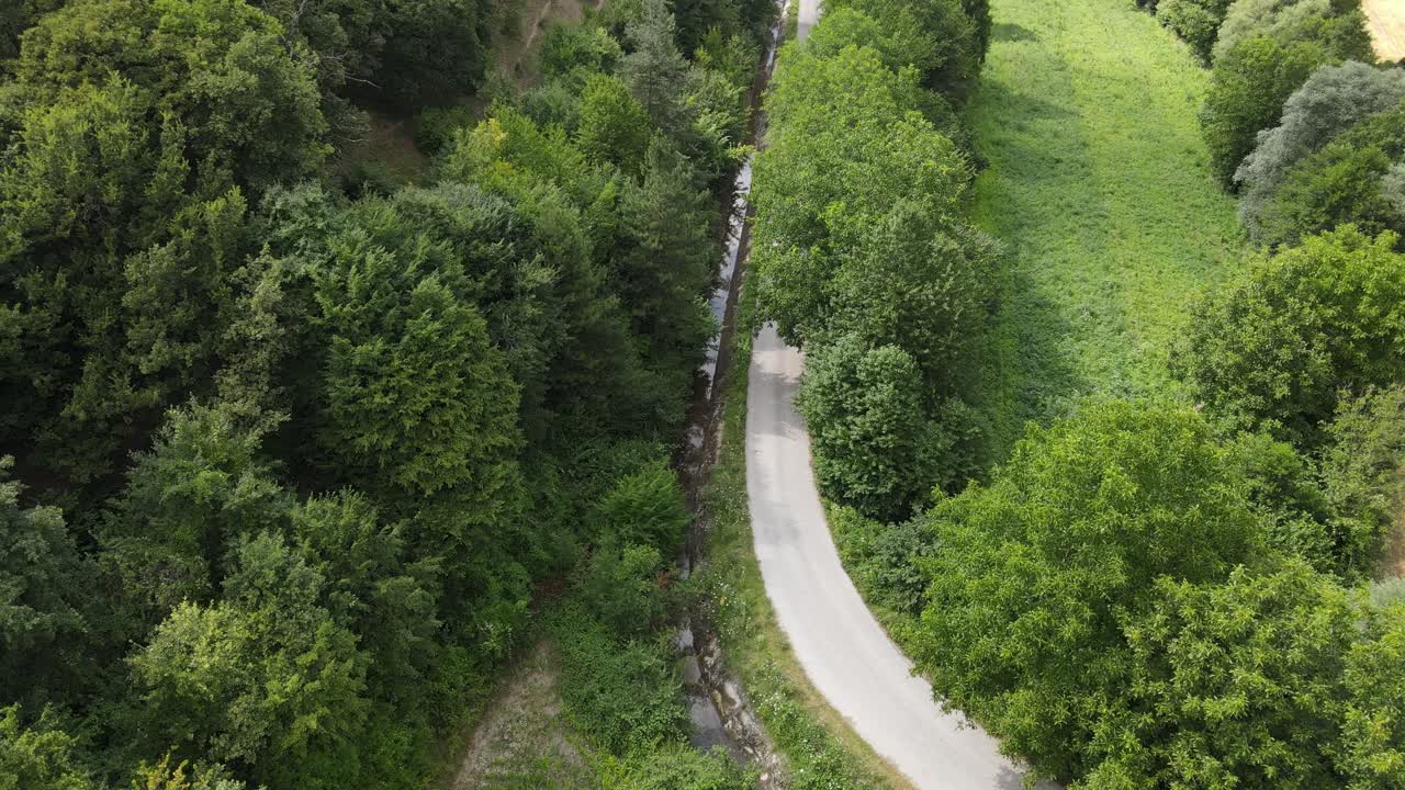 carretera asfaltada con bosque verde a ambos lados