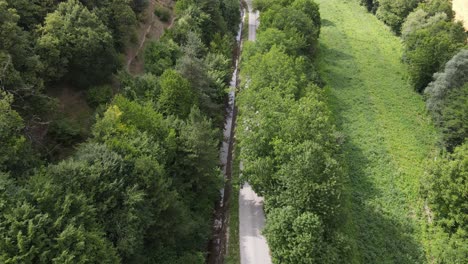 asphalt road with green forest on both sides