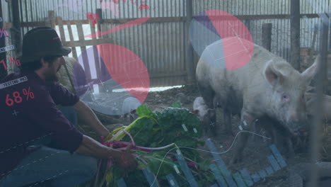 animation of financial data processing over caucasian male farmer with pigs
