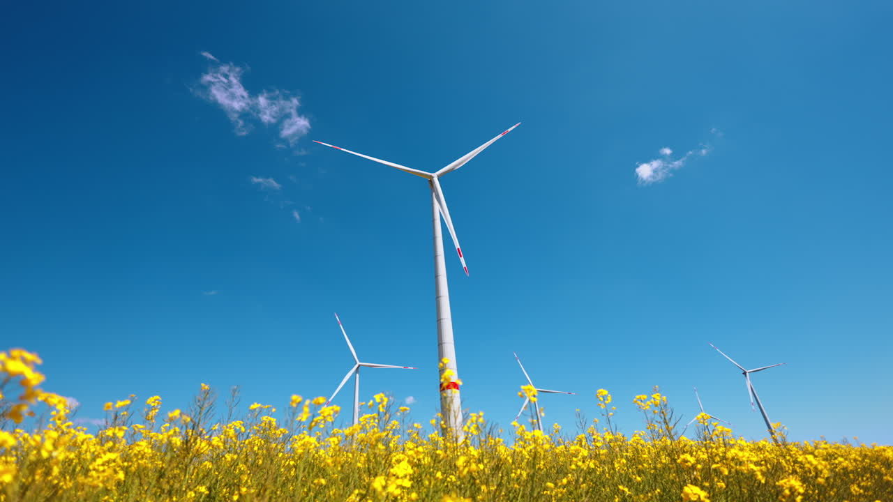 Wind turbines in a bright yellow field. Tall wind turbines stand amid vibrant yellow flowers under a clear blue sky, symbolizing renewable energy
