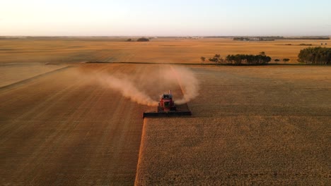 Aerial-frontal-view-of-a-modern-harvester-combine-picking-the-stems,-blades-threshing-gold-barley-at-sunset-in-Canada