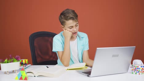 The-boy-who-fell-asleep-in-front-of-a-laptop.