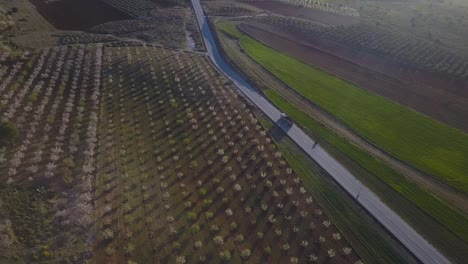 Luftaufnahme-Eines-Großen-Lastwagens-Auf-Einer-Kleinen-Straße-Zwischen-Feldfrüchten-Und-Der-Abendsonne