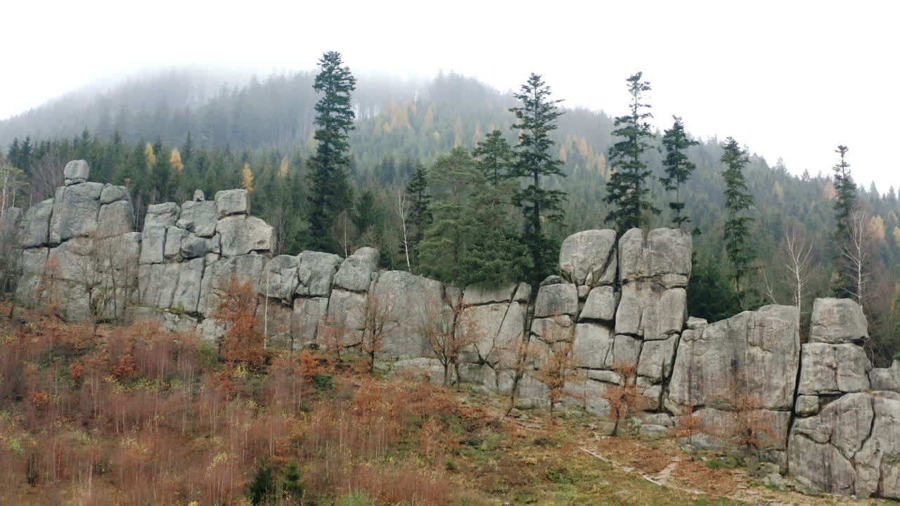 impresionante paisaje de montaña, árboles de coníferas bordean una majestuosa pared de roca en el desierto de travesía