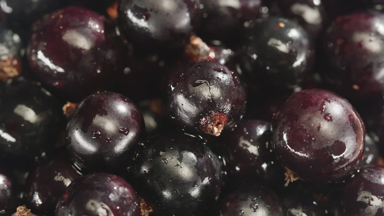 검은 수박의 클로즈업