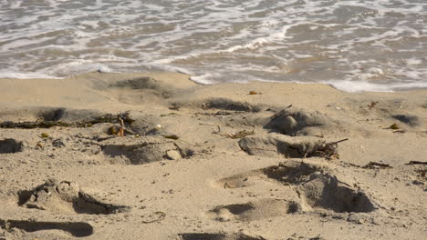 4K-Video-Einer-Engen-Aufnahme-Von-Strandsand-Und-Den-Wellen,-Die-über-Den-Boden-Spülen