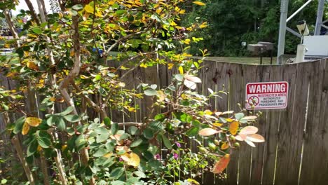 Warning-sign-on-a-wooden-fence