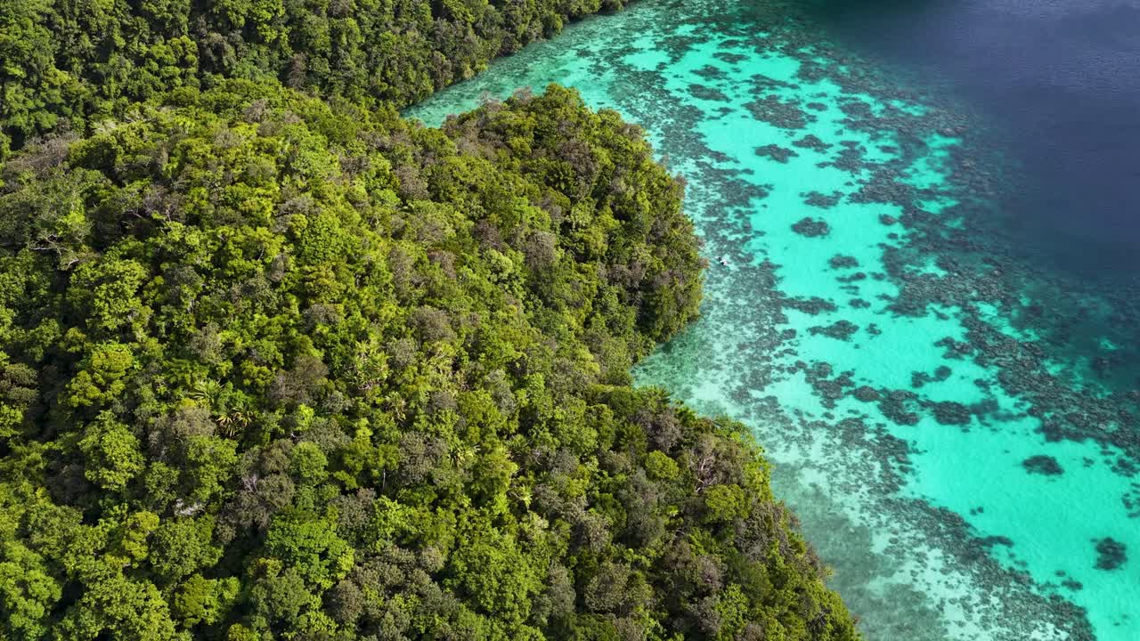 Droneopptak viser en tett grønn skog som møter turkise korallrev i Koror, Palau