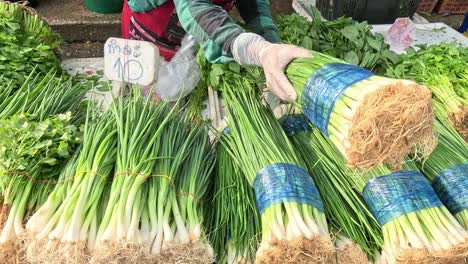 hands tying bundles of green onions on table