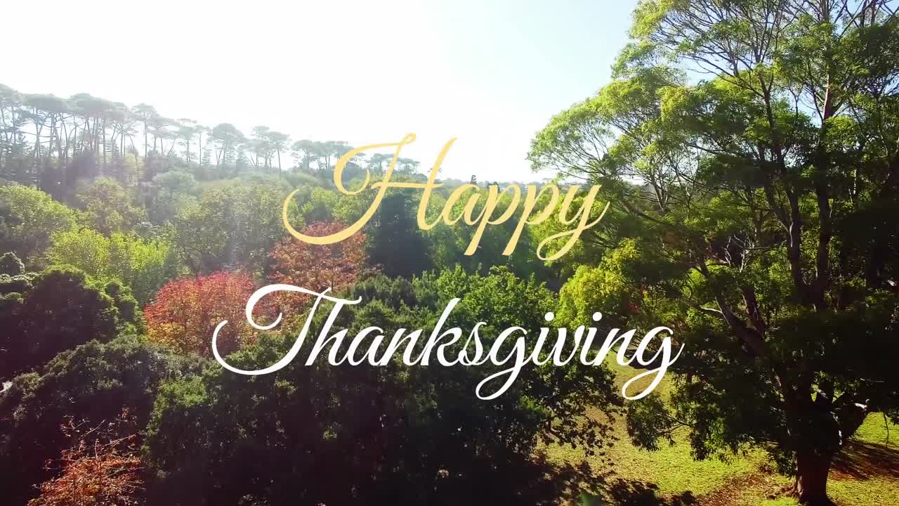 Animazione di un banner di testo "Happy Thanksgiving" su sfondo di vista aerea di una foresta.