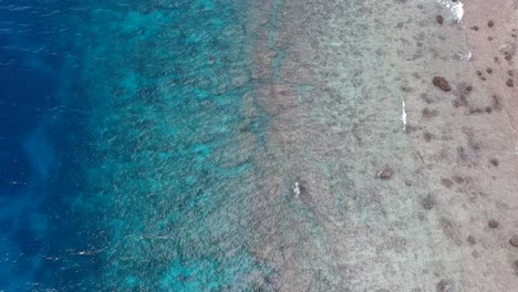 aerial shot of deep blue sea to shore