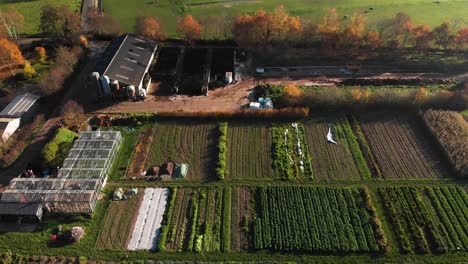 vegetable and fruit garden of a biological dynamic farm in the netherlands with an orderly diversity of crops and grazing fields with horses beside