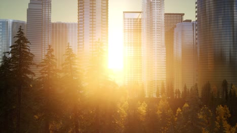 forest hillside and city landscape