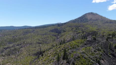 Toma-De-Drone-Del-Bosque-Nacional-De-Lassen-Que-Captura-Una-Hermosa-Montaña-Rodeada-De-Vegetación,-Con-Un-Cielo-Azul-En-La-Parte-Posterior