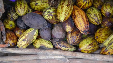 pila de cacao en el supermercado en el mercado tropical al aire libre, península de samana, república dominicana
