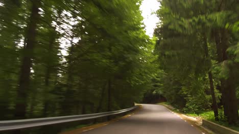 Conducción-Suave-En-Un-Camino-Sinuoso-En-Un-Bosque,-Montaña-Bucegi,-Rumania