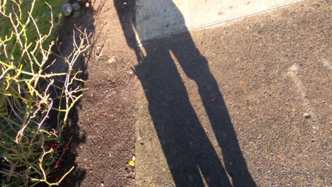 shadow of a man walking on the street with a bag in hand