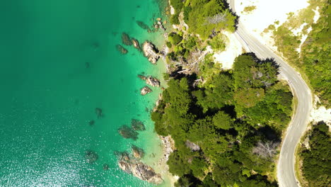 Malerische-Straße-Auf-Einer-Klippe-über-Dem-Türkisfarbenen-Wasser-Der-Wainui-Bay,-Neuseeländische-Luftaufnahme-Von-Oben-Nach-Unten