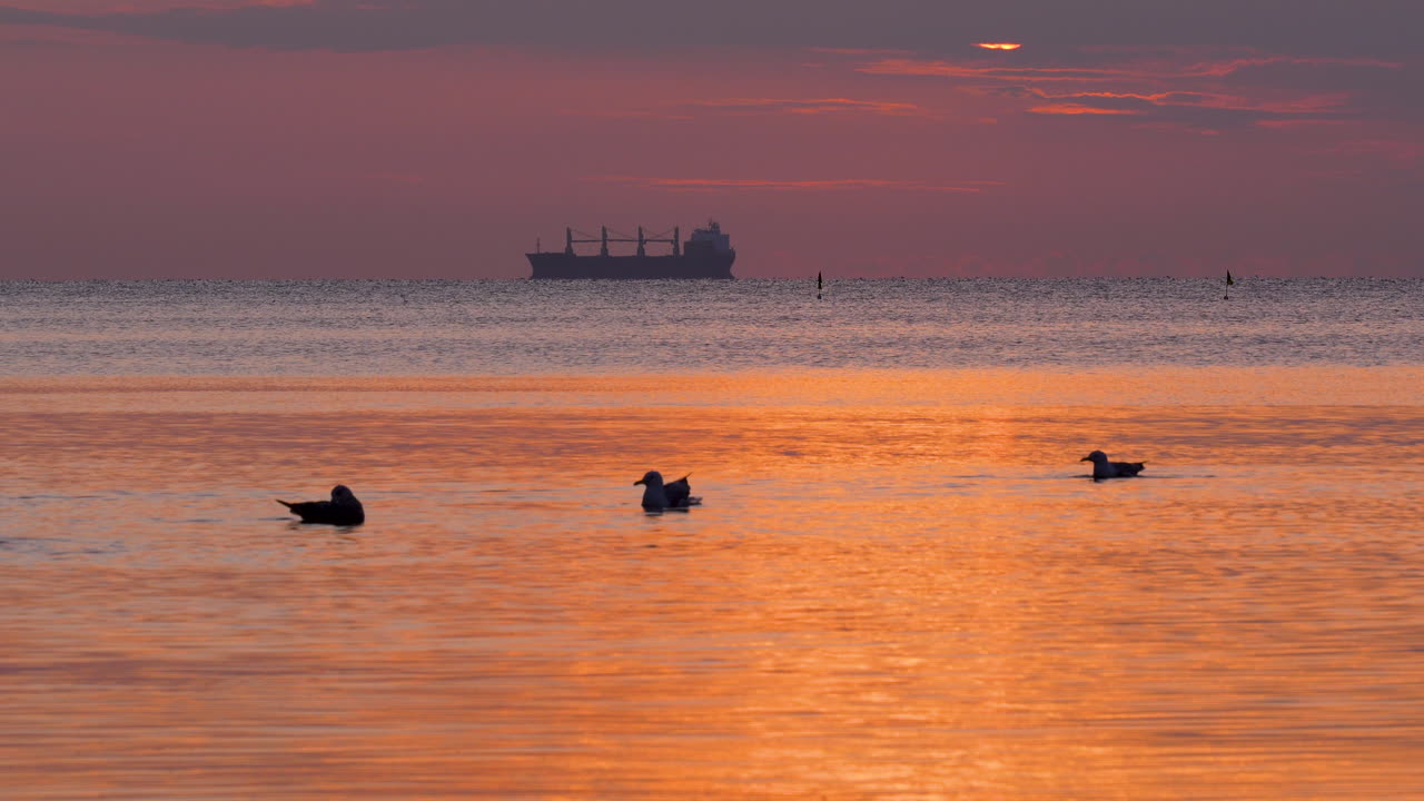 Slow waves ripple across the golden sea during sunrise in Orłowo. Ducks and birds splash around in the bay