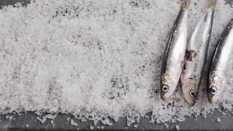 preparing fresh sardines