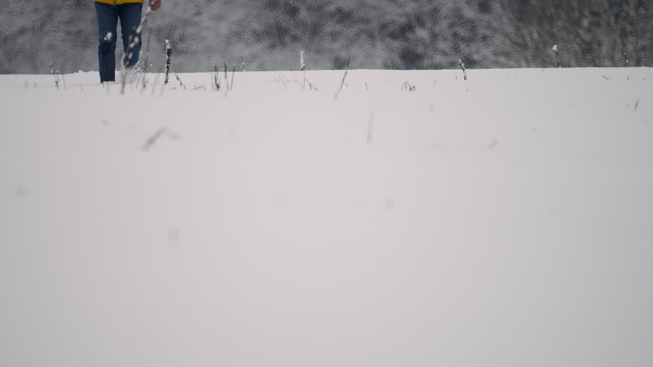 숲을 걷는 사람