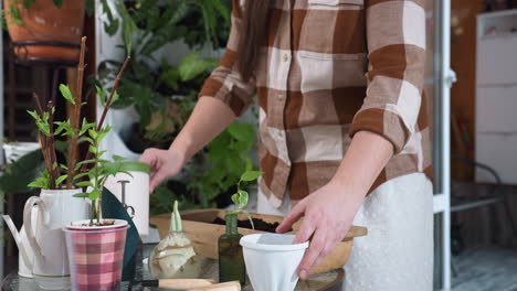 Lower view of woman placing plant buckets of various sizes on glass table beside indoor potted plants and gardening tools in bright cozy home greenhouse with decorative brick wall background