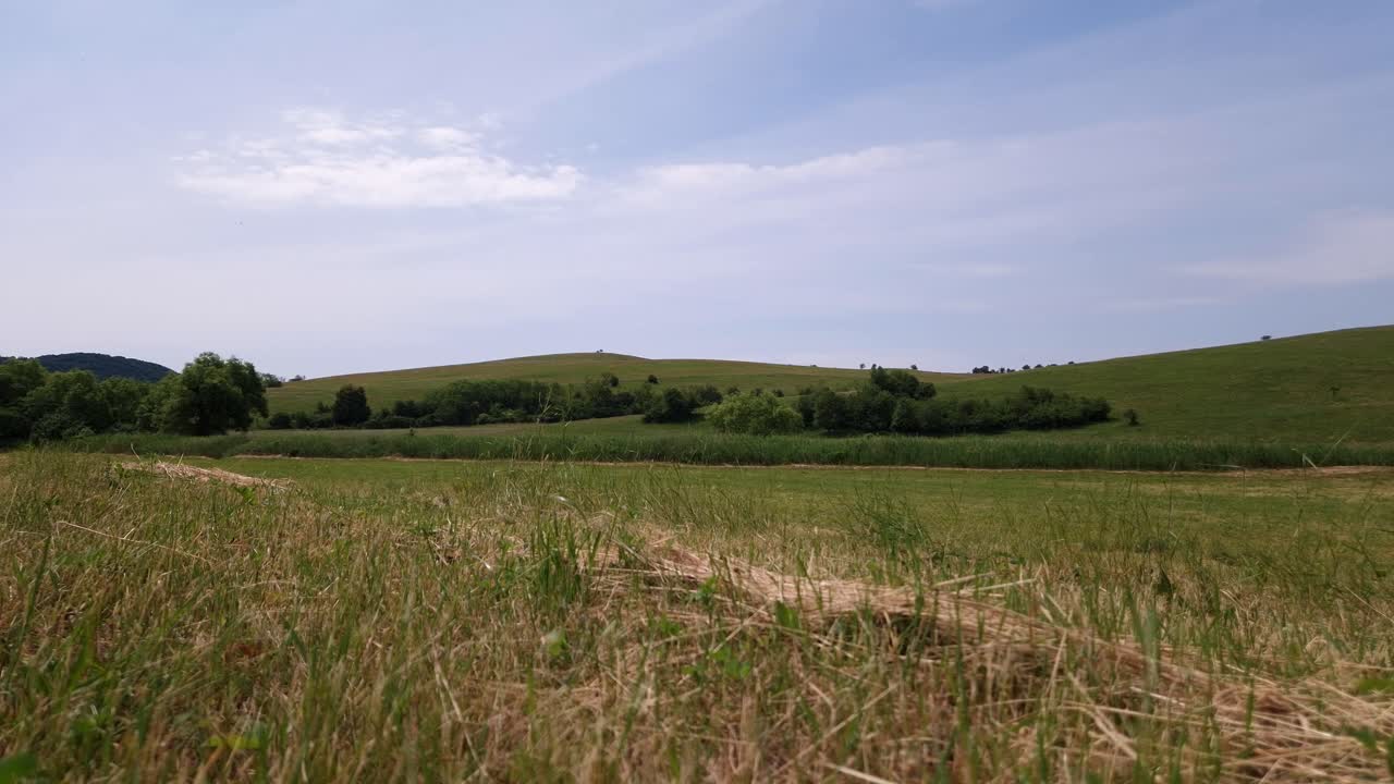 Summer meadow with distant hills under blue sky