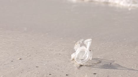 taza de plástico triturada arrastrada por el mar, tema de contaminación del medio ambiente