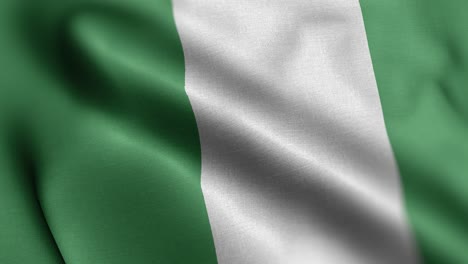 flag of nigeria - nigerian flag high detail - national flag nigeria wave pattern loopable elements - high resolution and high detailed fabric texture and endless loop stock video