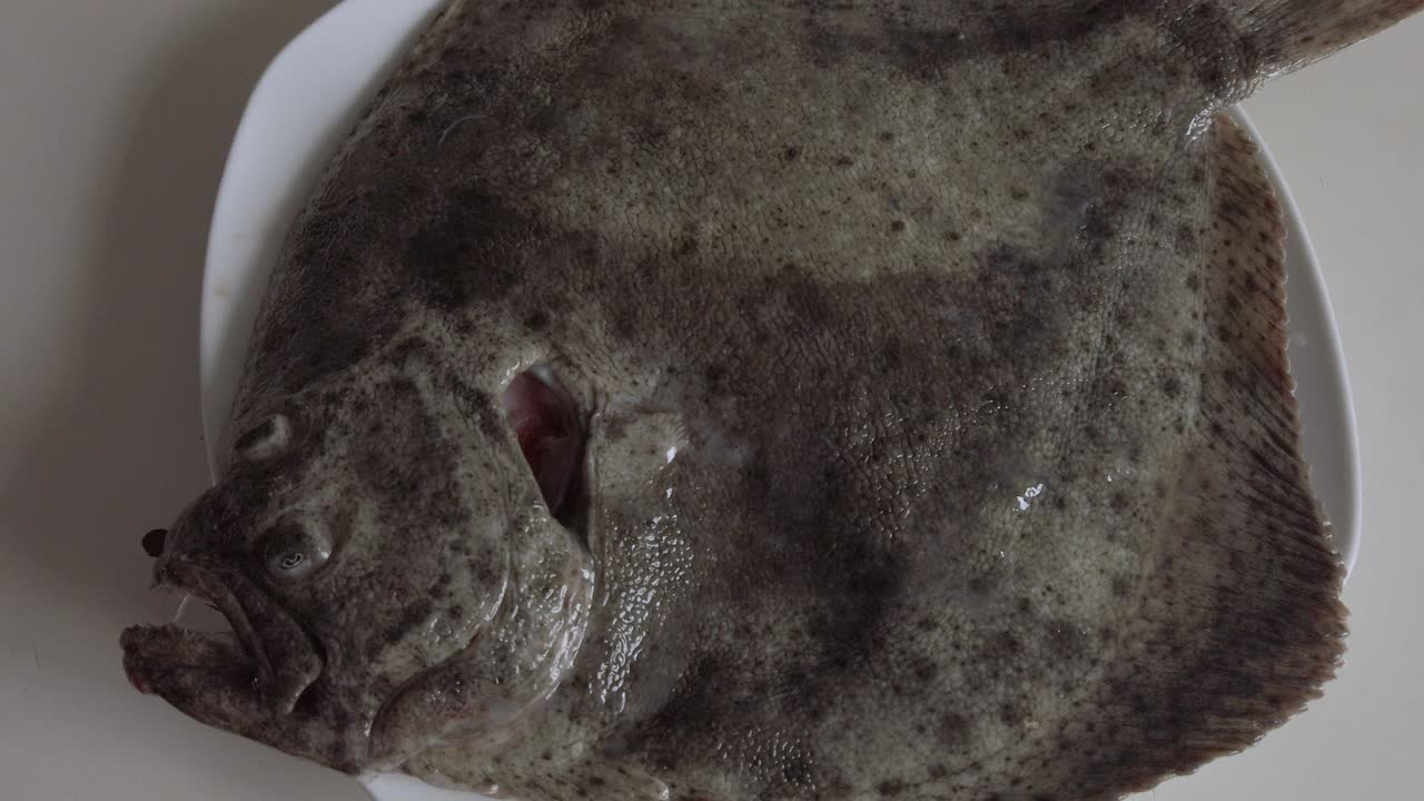 tiro de arriba hacia abajo de pescado plano de rodaballo crudo entero en el plato, bajando más cerca