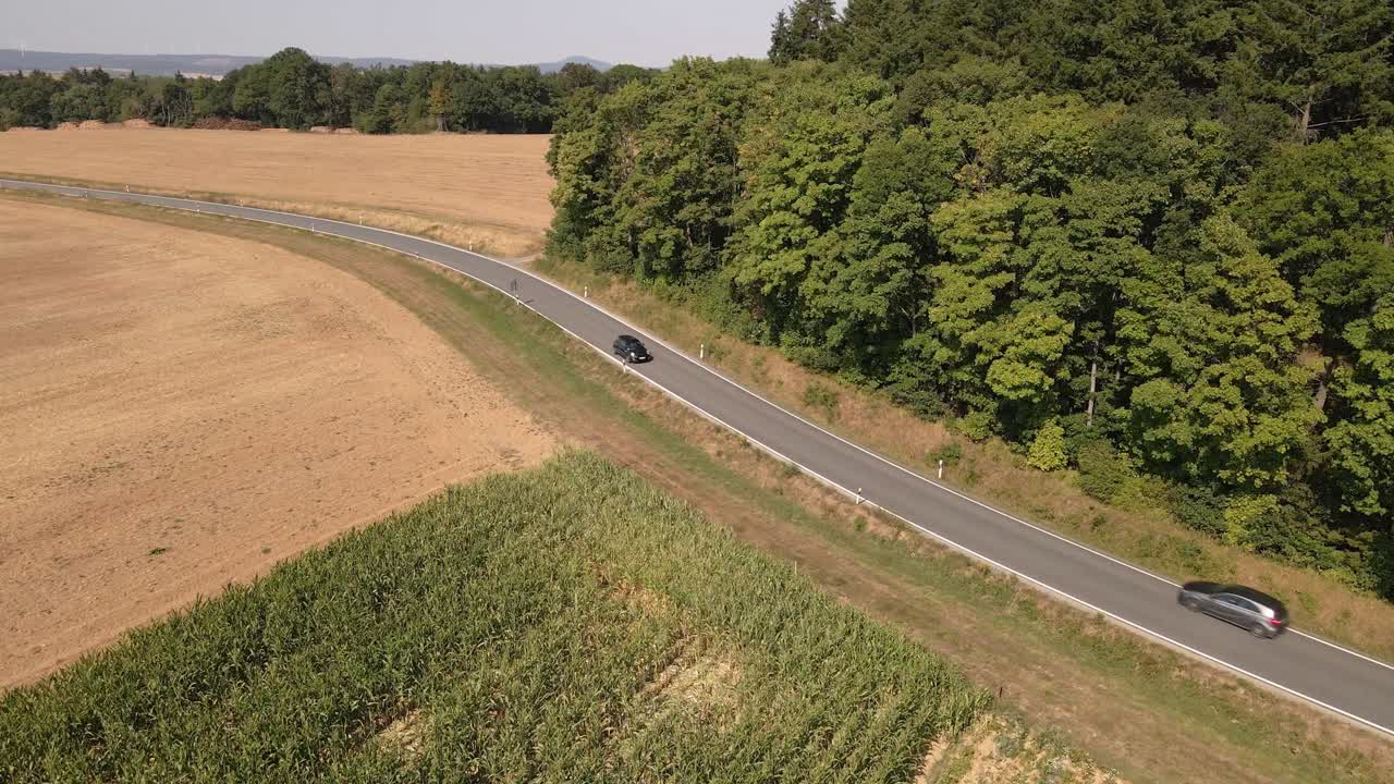 옥수수밭과 울창한 숲 사이의 굽은 시골길에서 서로 다른 방향으로 운전하는 두 대의 자동차
