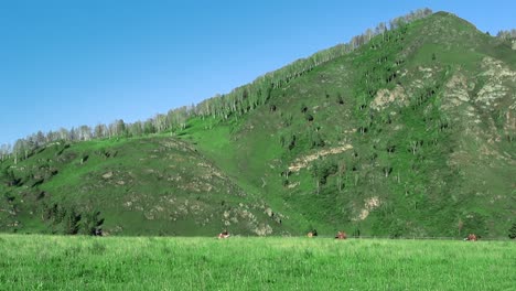 people ride atvs through fields