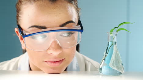 young scientist studying plants