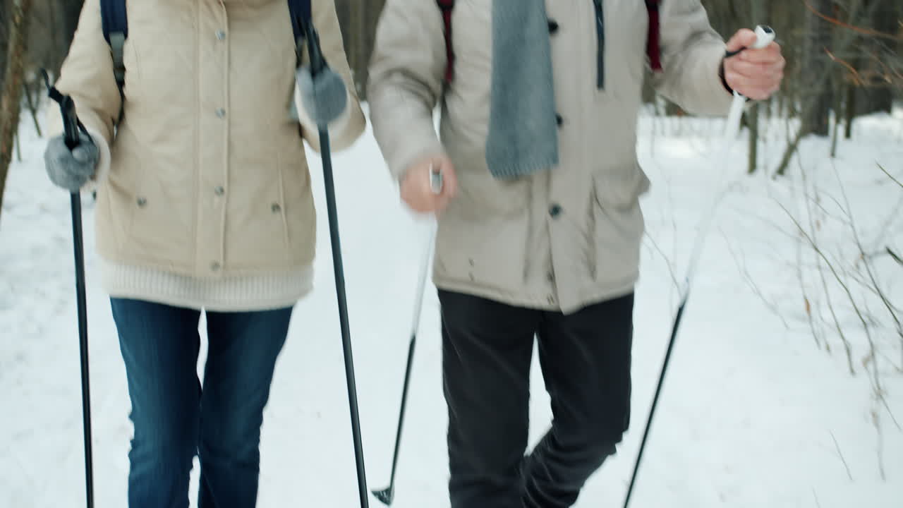 Senior Couple Nordic Walking in Winter Forest