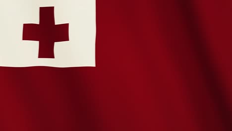animación de la bandera ondeando. pantalla completa. símbolo del país tonga