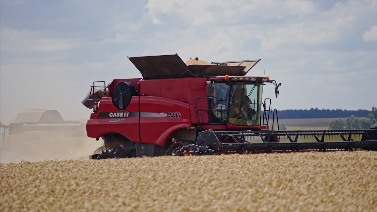 Combine harvester on wheat field. Working harvesting combine in the field of wheat