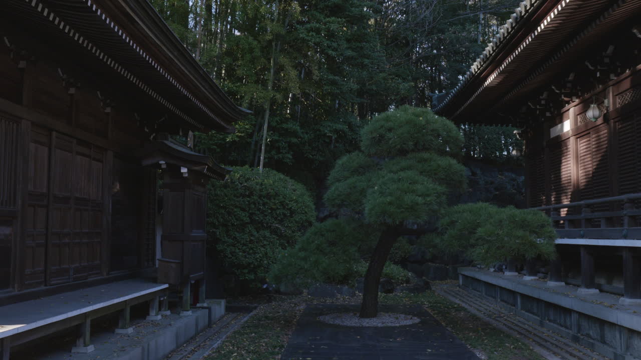viaje a un antiguo templo budista zen en tokio