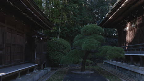 viaje a un antiguo templo budista zen en tokio