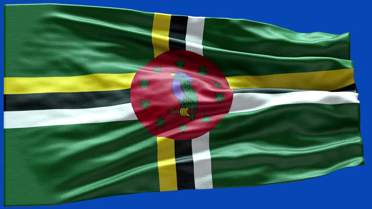 4k 도미니카의 매우 상세한 발 - 도미미니카 발 높은 세부 사항 - 국가 발 도미니커 파동 패턴 루프 가능한 요소