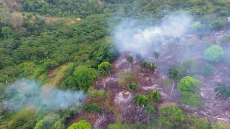 Aerial-view-over-smoky,-burnt-nature,-rain-forests-of-Africa---pan,-drone-shot