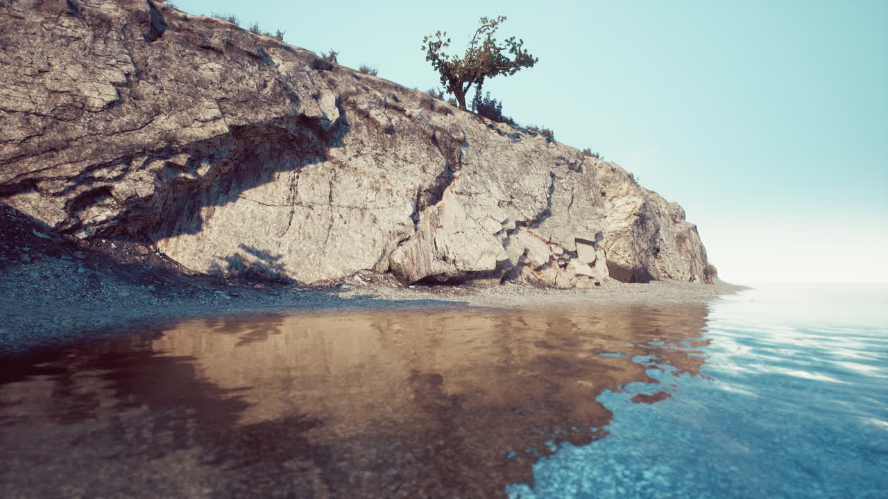 árbol que crece en el borde de los acantilados