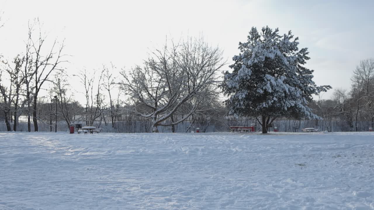 Empty winter park with white snow covered ground and frosted trees,beautiful day. Snowbound park benches and bright sky filtering through trees in 4K. Idyllic morning, Laagri townscape in the distance
