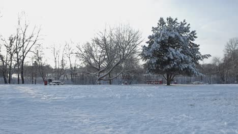 empty winter park with white snow covered ground and frosted trees,beautiful day. snowbound park benches and bright sky filtering through trees in 4k. idyllic morning, laagri townscape in the distance