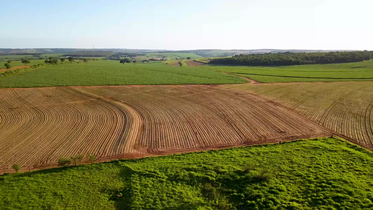 Land prepared for growing sugar cane and sugar cane field in southeastern Brazil